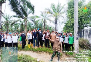Berdiri Diatas Lahan HGU, Posko Kelompok Tani Desa Perlanan Dibongkar Manajemen PTPN4