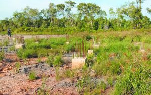 Proyek Rumah Melayu Ketapang, Begini Penelusuranya