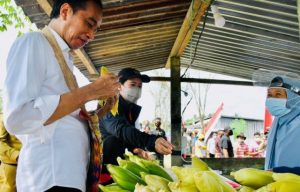 Papua Dimata Jokowi