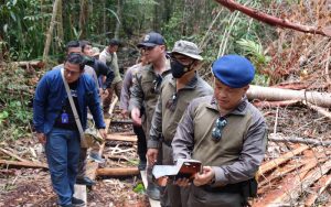 Kapolda Riau Gunakan Kapal Pompong Menyusuri Lokasi Perambahan Hutan
