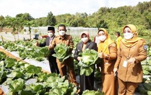 Pemprov Kepri Berikan Bantuan Alat Pertanian Bagi Kelompok Tani