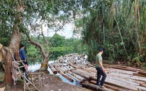 Polda Riau Tangkap Mafia Kayu, Amankan Ratusan Tual Illegal Logging