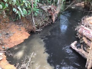 Hitam Pekat dan Berbau Busuk, Limbah Sawit PT LAB Resahkan Warga Sandai