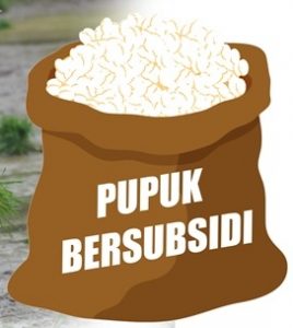 Pupuk Bersubsidi di Ketapang Langka, Ternyata Ini Sebabnya