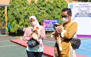 Menuju Indonesia Bebas Rabies 2030 Disnakan Ciamis Gelar Geber Cirobis