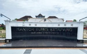 Pemkab Ketapang Kompak Anggarkan 4 Milyar, Beli Mobil Dinas dan Proyek Bibit Kelapa Sawit