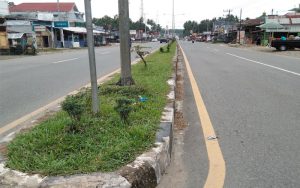 Pemeliharaan dan Perawatan Ruang Terbuka Hijau di Dharmasraya, DLH Jadi Sorotan