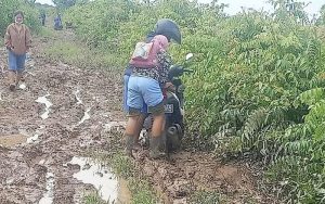 Sempat Dianggap Ngilang, Anggaran Peningkatan Jalan Kamboja Satai Kembali Normal