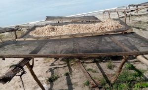 Heboh, Maling Ikan Marak di Pantai PIM Mukomuko 25 Kilo Gram Ikan Raib