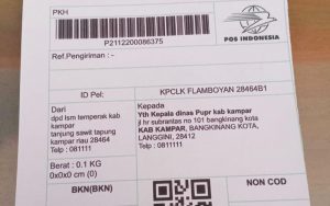 Kadis PUPR Arahkan Klarifikasi Warga ke Kominfo Kampar