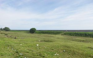 Pemkab Mukomuko Rencanakan Bangun Rest Area