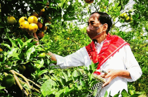 Jokowi Kunjungi Ladang Penghasil Jeruk Kuta Mbelin LMD Tanah Karo