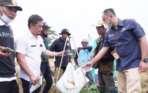 Hasil Panen Padi Petani di Kota Banjar Melonjak Setelah Ikut Program Makmur