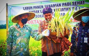 Teknik Bertani di Wonoanti yang Tahan Hama di Apresiasi Bupati Trenggalek