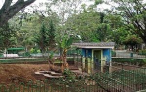 Lokasi Objek Wisata Bukittinggi Dibuka Untuk Pengunjung, Namun Tetap Prokes