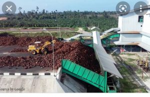 TBS Not Selling di PKS, Petani Sawit Panik di Kabupaten Dharmasraya