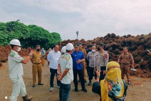 Harga TBS Anjlok Bupati Sidak ke Pabrik Kelapa Sawit