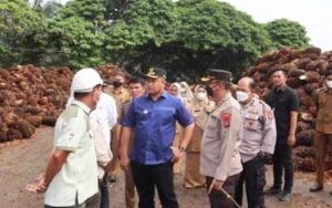 Bupati Dharmasraya Sidak Pabrik Kelapa Sawit