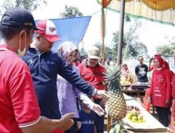 APKASI Expo “Nastar” Inovasi Dinas Pertanian Dharmasraya Memang Beda