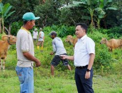 Program Asuransi Ternak, Ilham Azikin Harap Sektor Peternakan Semakin Menggeliat