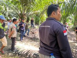 PERKIM-LH Ketapang Respon Laporan LSM TINDAK, Terkait Limbah Sawit PT MBK Diduga Cemari Sungai