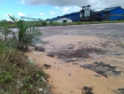 Limbah Pabrik Sawit PT Sukses Karya Palm Oil (IOI Group) Asal Negara Malaysia di Ketapang Bermasalah