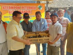 Ayam KUB Usaha Koperasi Kosgoro 1957 Mulai Dipasarkan Komersial