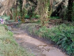 Hilangkan Jejak Pencemaran Limbah Cair Sawit, Perusahaan Asal Malaysia Ini Kuras Luapan Limbah
