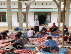 Ketua DPRD Dharmasraya: Tanpa Pakai Kupon, Daging Kurban Tetap Dapat