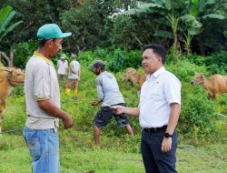 Program Asuransi Ternak, Ilham Azikin Harap Sektor Peternakan Semakin Menggeliat