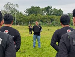 Kejar Tersangka ke Ujung Sumatera, Penyidik Satresnarkoba Polres Serang Temukan 3 Hektar Ladang Ganja di Aceh Utara