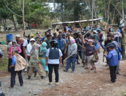 Kelompok Lamtoras Sihaporas Semakin Merajalela