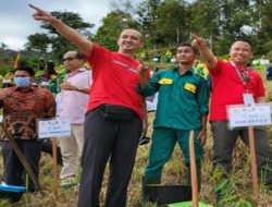Sekda Depok Ikut Tanam Pohon Durian di Kebun APEKSI Padang
