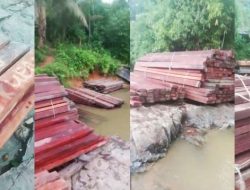 Ribuan Batang Kayu Ulin Diduga Ilegal, Berserakan di Sungai Beginci, Ada Tulisan Herlin