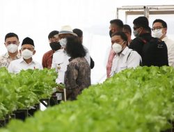 Pj Gubernur Banten Dampingi Wapres KH Ma’ruf Amin Meninjau PT Singapura Fresh Green Makmur