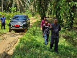 Ketua DPRD Dharmasraya Tinjau Langsung Jalan Produksi Pertanian dan Transportasi Menuju Solok Selatan