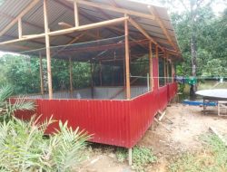 Diduga Kongkalikong, Program Ketahanan Pangan Hewani dan Nabati  Desa Riam Bunut Sembunyi-Sembunyi