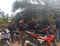 TIM Polhut KPHP Kabupaten Batang Hari Jambi Diduga Temukan Titik Koordinat Hutan HP