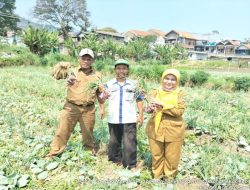 Desa Laksana Mekar  Gandeng Gapoktan, Dongkrak Program Ketahanan Pangan