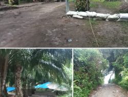 Basecamp Narkoba di Kebun Sawit, Kapolres Siantar Mana?