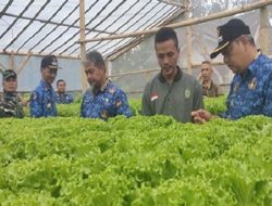 Nur Saefuloh Petani Milenial dari Cihaurbeuti Ciamis Pemasok Saladah Bokor