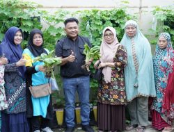 Emak-emak di Bantaeng Kembangkan Pertanian Organik di Pekarangan