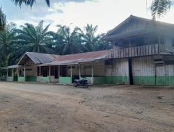 Perkebunan Milik Yayasan Tidak Tercatat di Dinas Perizinan Satu Pintu Kabupaten Dharmasraya