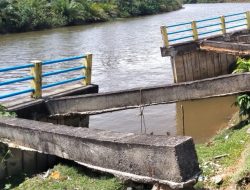 Kerusakan Tanggul Desa Ponbat Mukomuko Baru Sebatas Catatan BWSS VII Provinsi Bengkulu