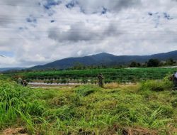 TNI Bersinergi Bersama Masyarakat, Lapas, Pemda Kerjakan Lahan Kosong di Kabupaten Simalungun