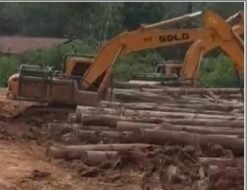 PT BHP Di Gunung Mas Diduga Langgar Permen LHK No.8 Tahun 2021 