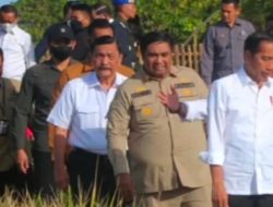 Presiden Jokowi Bersama Mentan SYL Panen Raya di Maros.