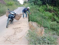 Jalan Kabupaten Dharmasraya Pulau Punjung Ke Pinang Makmur Timpeh Amblas