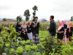 Ganjar Muda Padjajaran Gelar Bazar Sayuran, Hasil Petani di Desa Cikidang Lembang