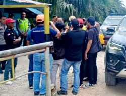 Konflik Lahan Dayun Siak Memanas Diduga PT DSI Panen Lahan Bersertifikat Milik Masyarakat